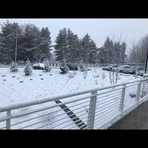 Meet your Posher, Cynthia